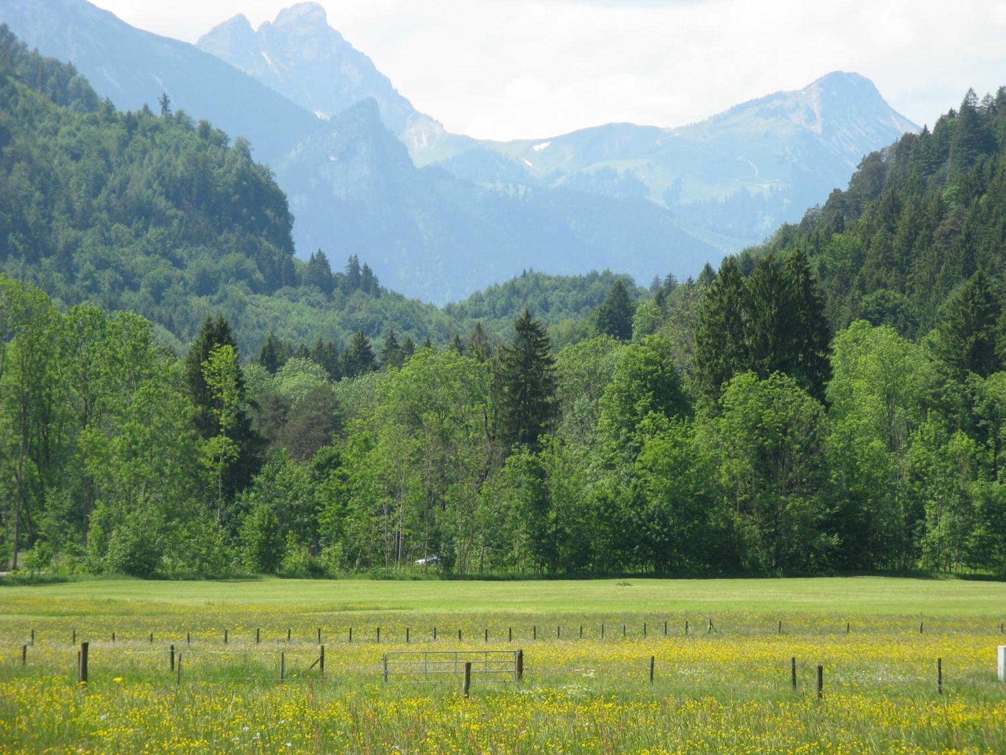 Alpenhotel Allgäu 2*