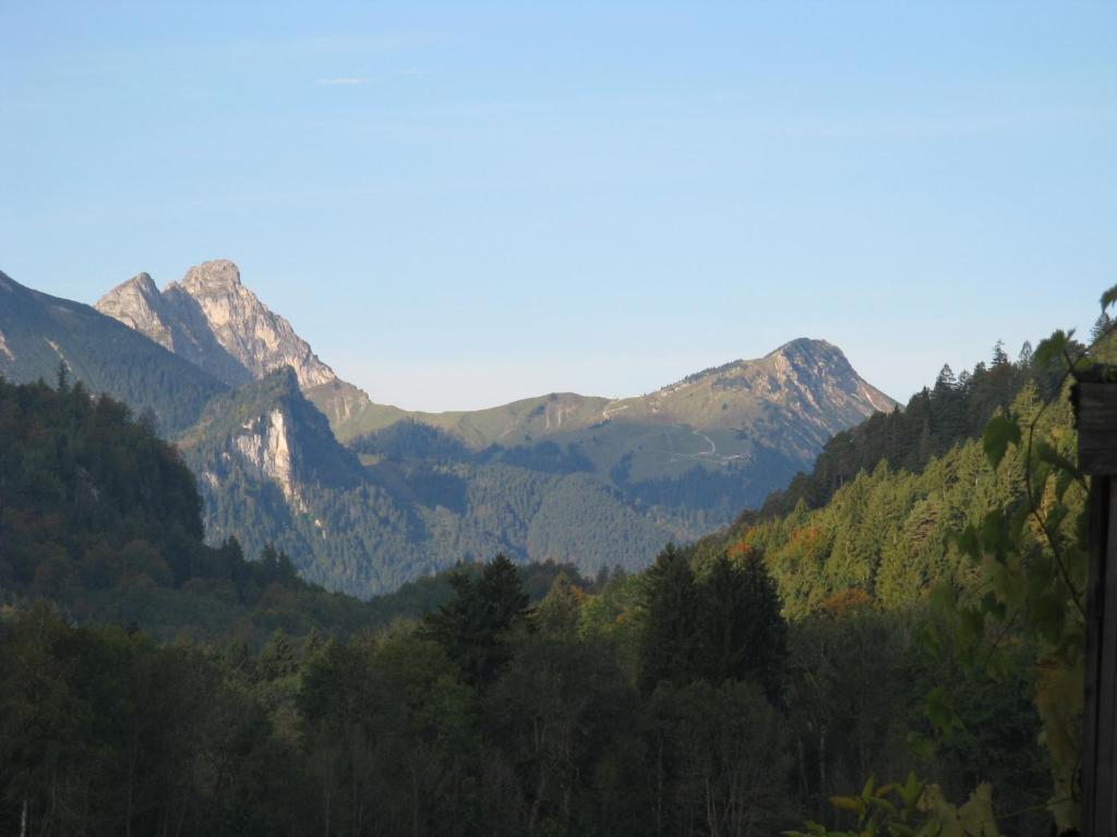 Alpenhotel Allgäu 2* Hohenschwangau